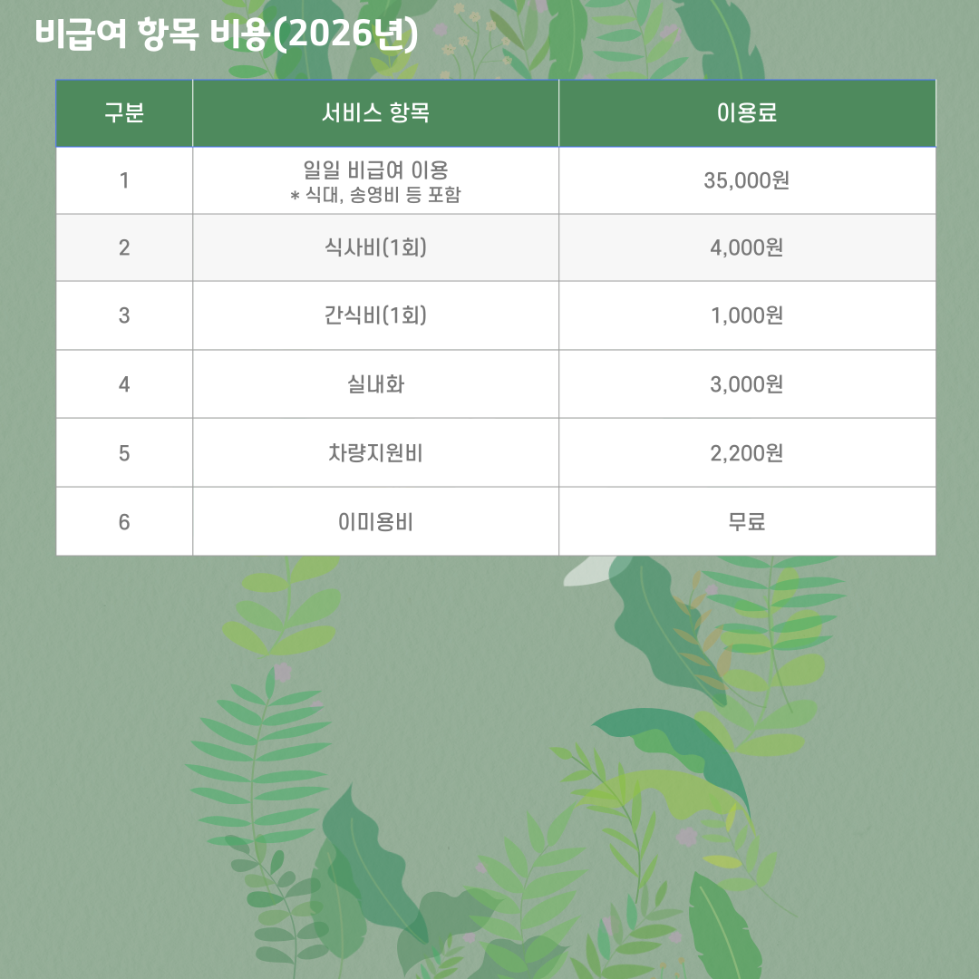 비급여항목 이용료 표