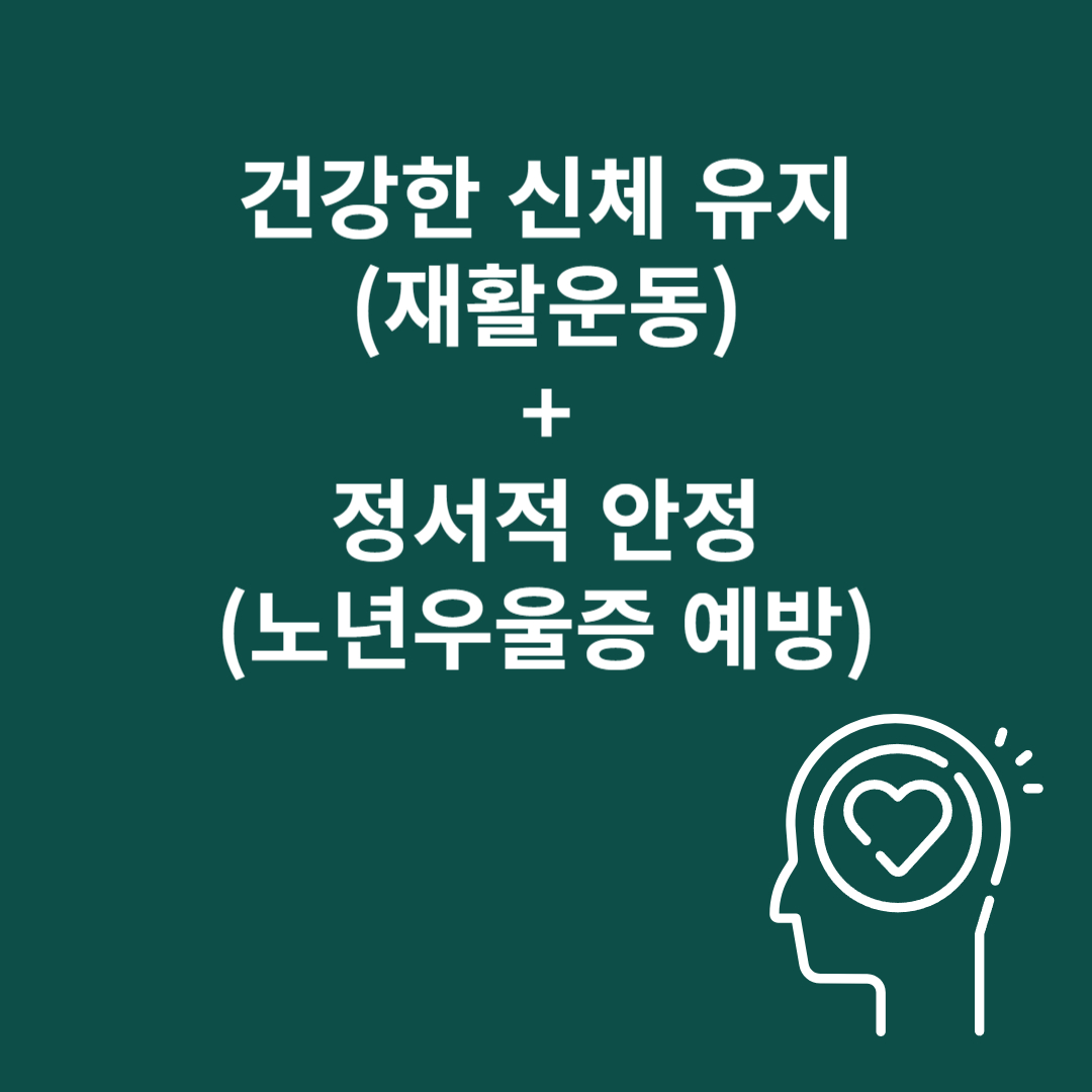 정보 이미지 4